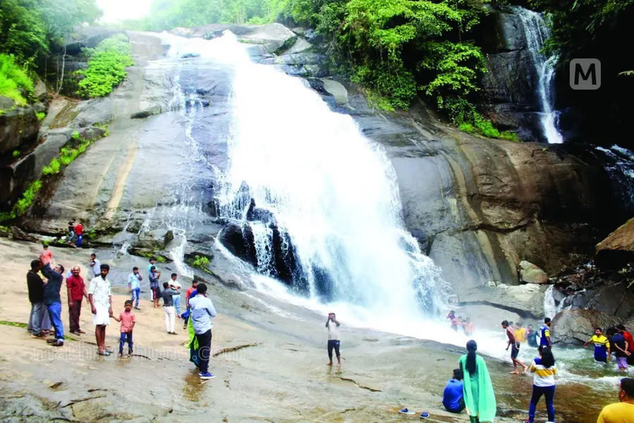 മഞ്ഞണിഞ്ഞ മലയും വനപർവവും കാണാം, ഗ്രീൻ സിഗ്നലിന് കാതോർത്ത് തുഷാരഗിരി- പൂക്കോട് ആനവണ്ടിയാത്ര