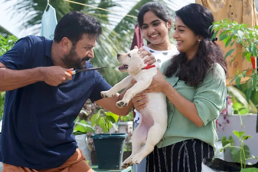 ജയറാം-മീര ജാസ്മിൻ-സത്യൻ അന്തിക്കാട് ചിത്രത്തിന് പേരിട്ടു; മകൾ