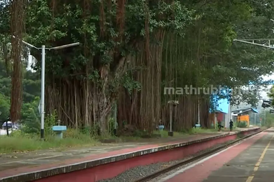 മുതലമടയില് മുതലകളുണ്ടായിരുന്നോ? സ്ഥലപ്പേരിന്റെ പൊരുള് തേടി ഒരു യാത്ര