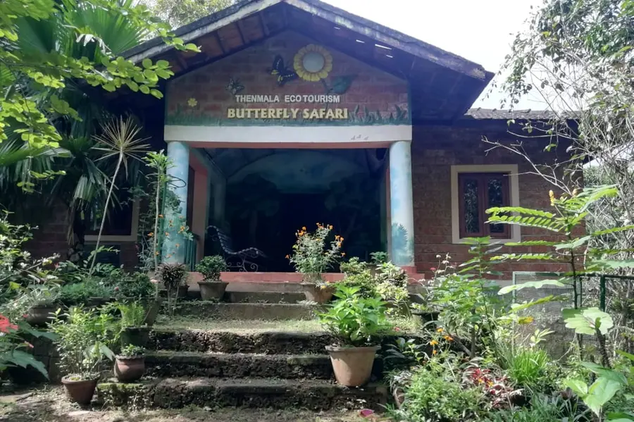 ചിത്രശലഭങ്ങളെ നടന്നാസ്വദിക്കാം; വീണ്ടുമുണർന്ന് ഏഷ്യയിലെ ആദ്യ ബട്ടർഫ്ളൈ സഫാരി പാർക്ക്