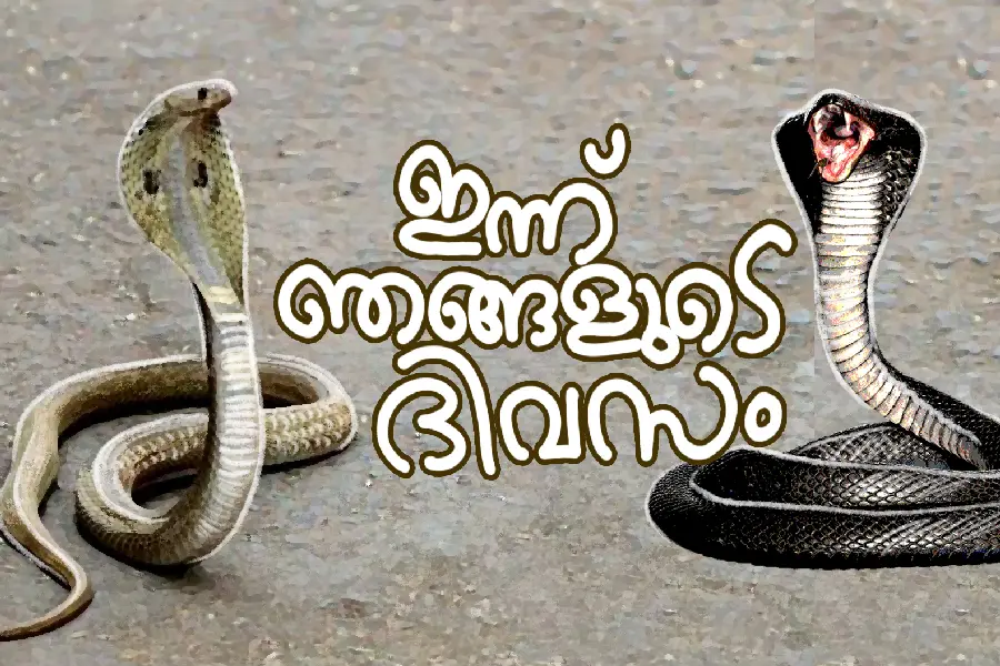 ഇവരെ കണ്ടാല് പേടിക്കാത്തവരുണ്ടോ ? അറിയാം ചില പാമ്പുവിശേഷങ്ങള്