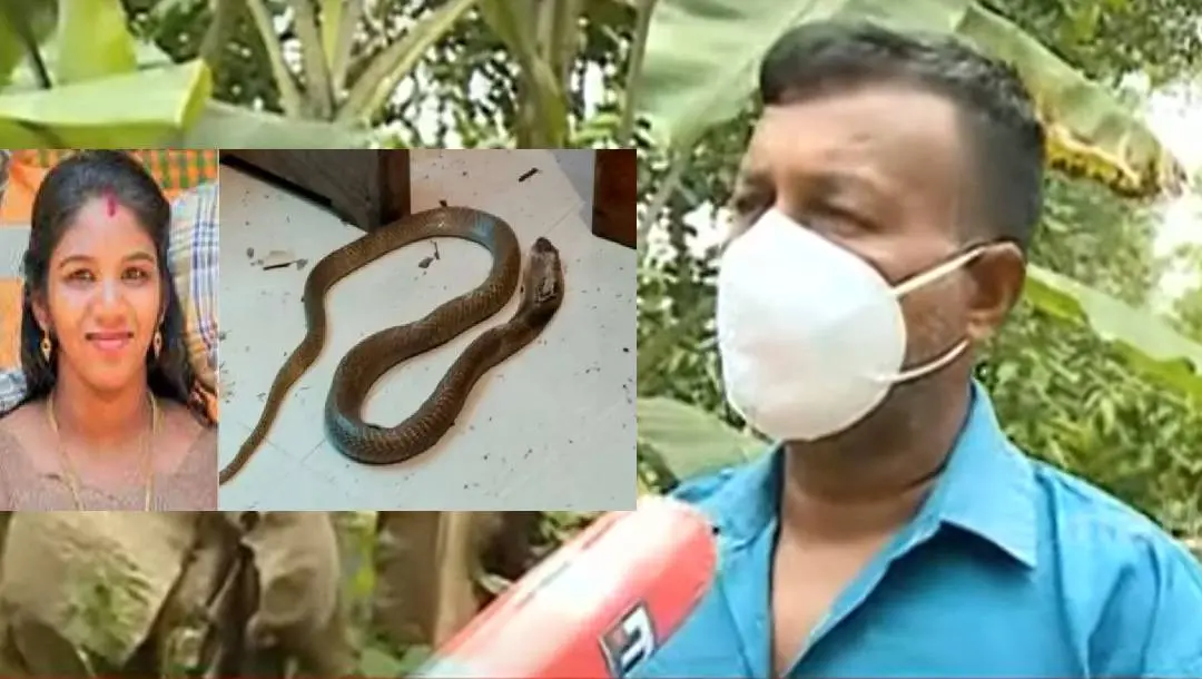 പാമ്പുപിടുത്തക്കാരന് സുരേഷ് | Screengrab: മാതൃഭൂമി ന്യൂസ്