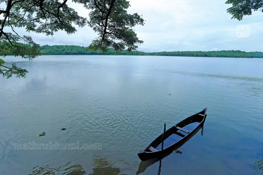 വന്നത് എന്നെക്കാണാനല്ലേ, എന്നോട് സംസാരിക്കൂ എന്ന മട്ടിൽ പുഴ; ഇത് കോഴിക്കോടിന്റെ കുമരകം