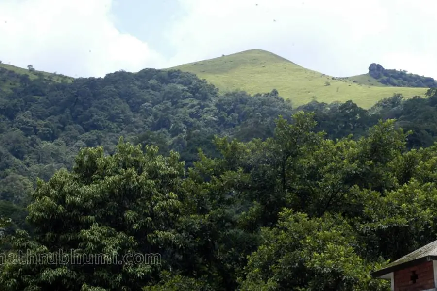 നിബിഡ വനങ്ങളും മലനിരകളും കവിതയെഴുതുന്ന റാണിപുരം
