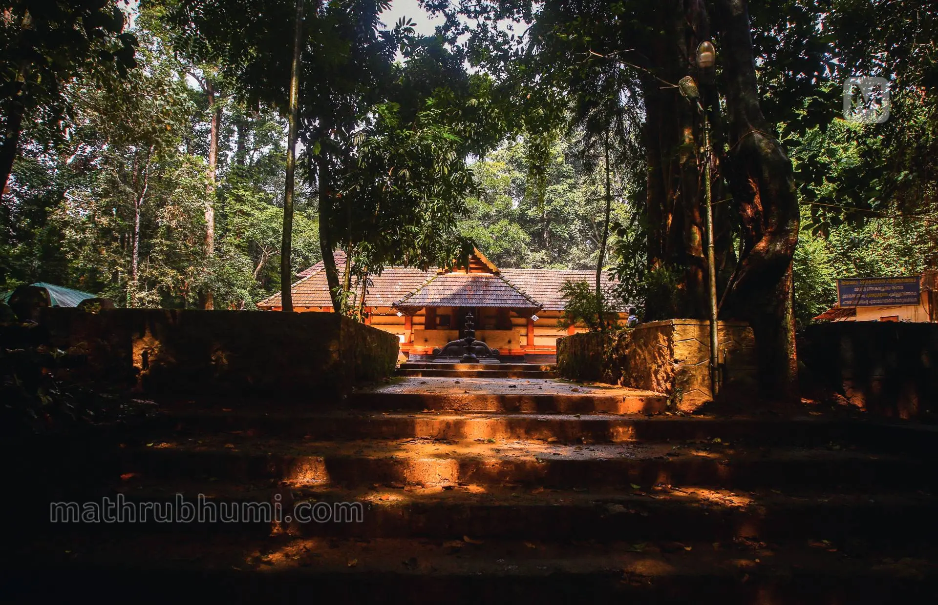 ഇരിങ്ങോൾക്കാവ് | ഫോട്ടോ: സിദ്ദിഖുൽ അക്ബർ  മാതൃഭൂമി