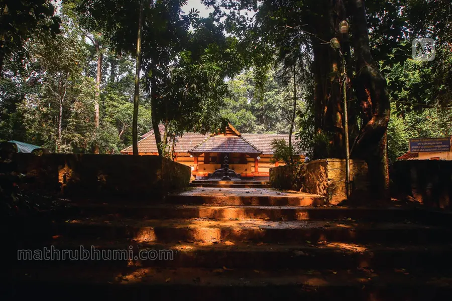 പൂരത്തിന് എഴുന്നെള്ളിക്കുന്നത് പിടിയാനകളെ, പൂജയ്ക്ക് പോലും സുഗന്ധപുഷ്പങ്ങളുപയോഗിക്കാത്ത വനക്ഷേത്രം