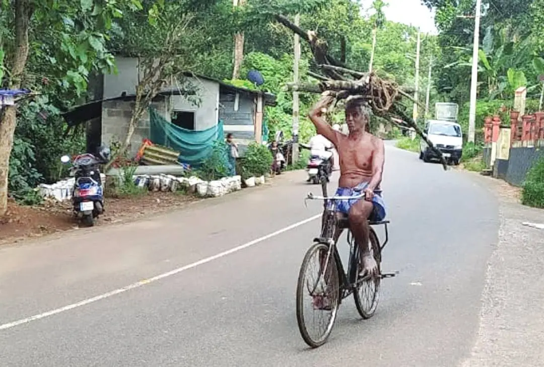 ചന്ദ്രന്പിള്ള സൈക്കിളില് വിറകുമായിവരുന്നു (മാതൃഭൂമി ഫയല്ചിത്രം)