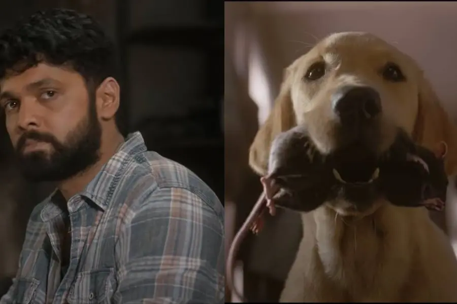 ജാസി ഗിഫ്റ്റിന്റെ ശബ്ദം, ഹിറ്റായി '777 ചാർളി'യിലെ 'ടോർച്ചർ സോങ്ങ്'