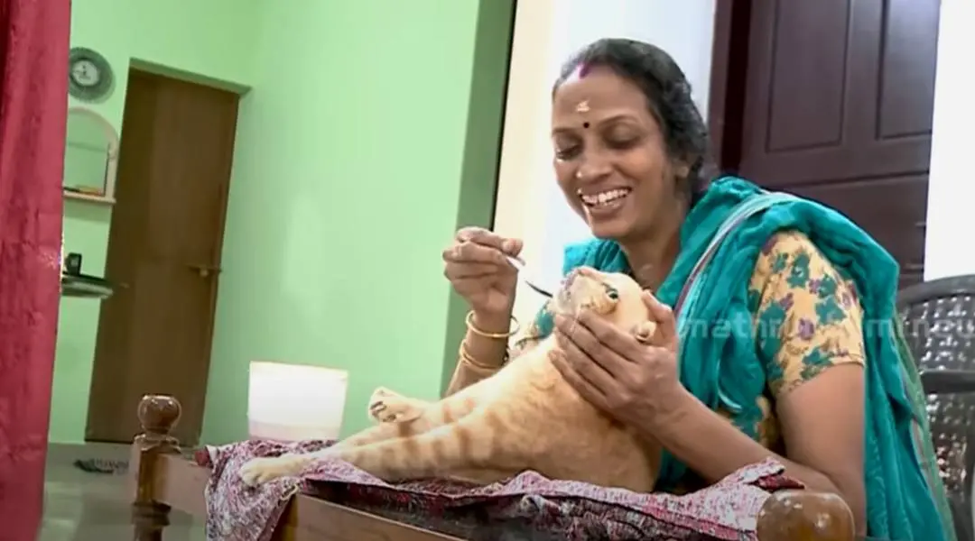 ബിന്ദുവും പുരുഷു പൂച്ചയും| ഫോട്ടോ: മാതൃഭൂമി ന്യൂസ്
