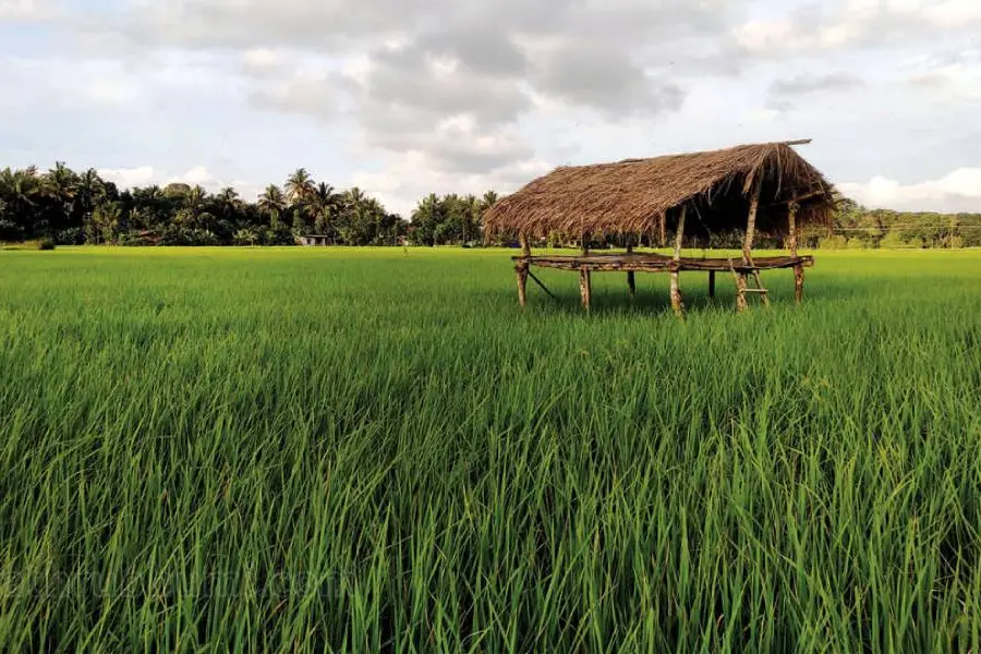തലമുറകള് കൈമാറിക്കിട്ടിയ വരദാനം, ചേകാടിക്ക് ഇത് 'നവ' യുഗ പിറവി