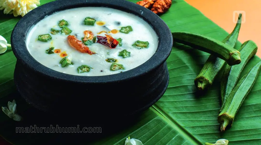ഫോട്ടോ- സിദ്ദീക്കുല് അക്ബര്
