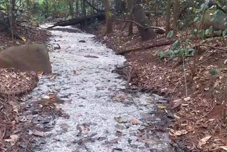 ഹവായ് ദ്വീപില് 'മദ്യമൊഴുകുന്ന' അരുവി