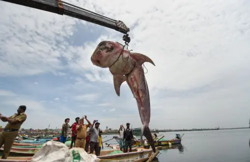 Representational image | Photo: PTI