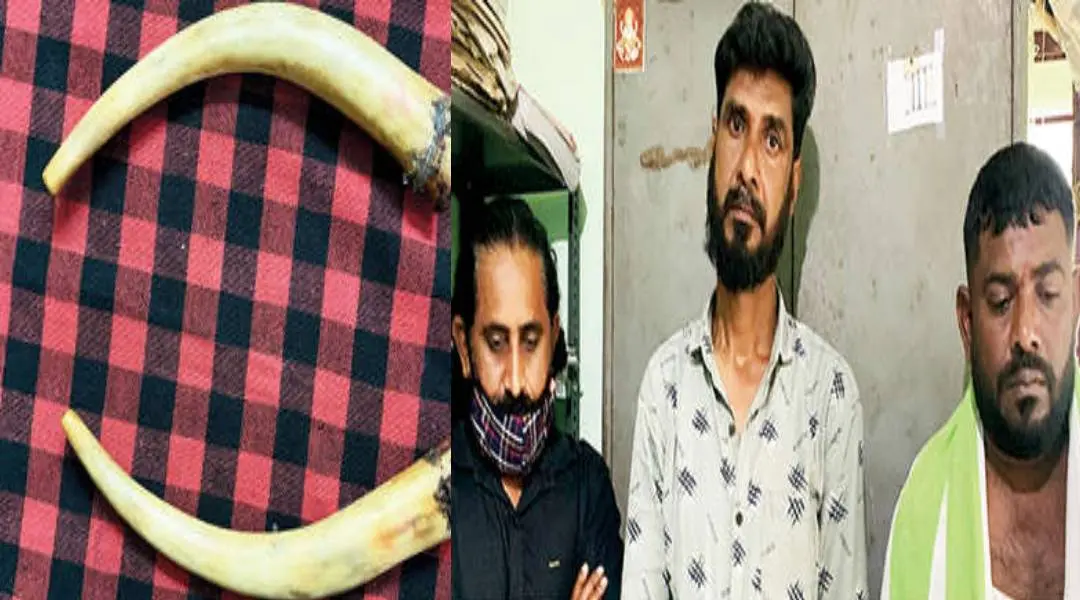 പിടിച്ചെടുത്ത ആനക്കൊമ്പ്, ഫൈസൽ, റഹ്മത്തുള്ള, കറുപ്പുസ്വാമി