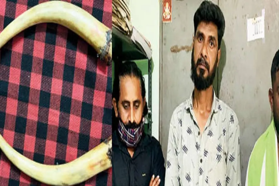 പാലക്കാട്ട് ആനക്കൊമ്പുമായി തമിഴ്നാട് സ്വദേശികളടക്കം മൂന്നുപേര് അറസ്റ്റില്
