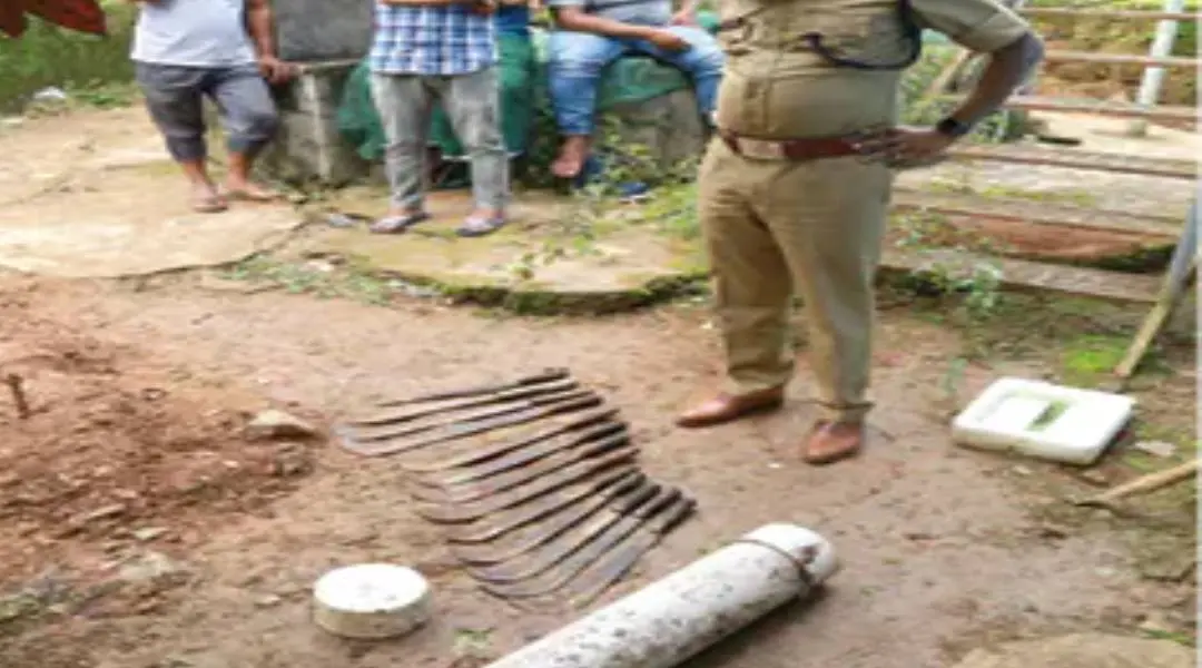 അങ്കണവാടി വളപ്പില്നിന്ന് കണ്ടെടുത്ത വടിവാളുകള്