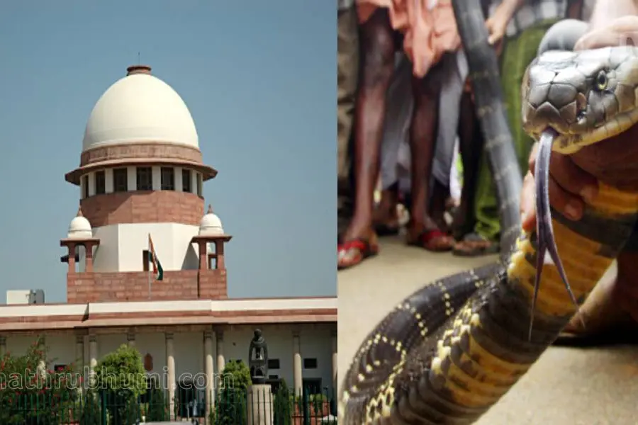 ഉത്ര മോഡല്‍ രാജസ്ഥാനിലും, പുതിയ ട്രെന്‍ഡെന്ന് സുപ്രീംകോടതി; സ്ത്രീയെ കൊന്നത് മരുമകളും കാമുകനും