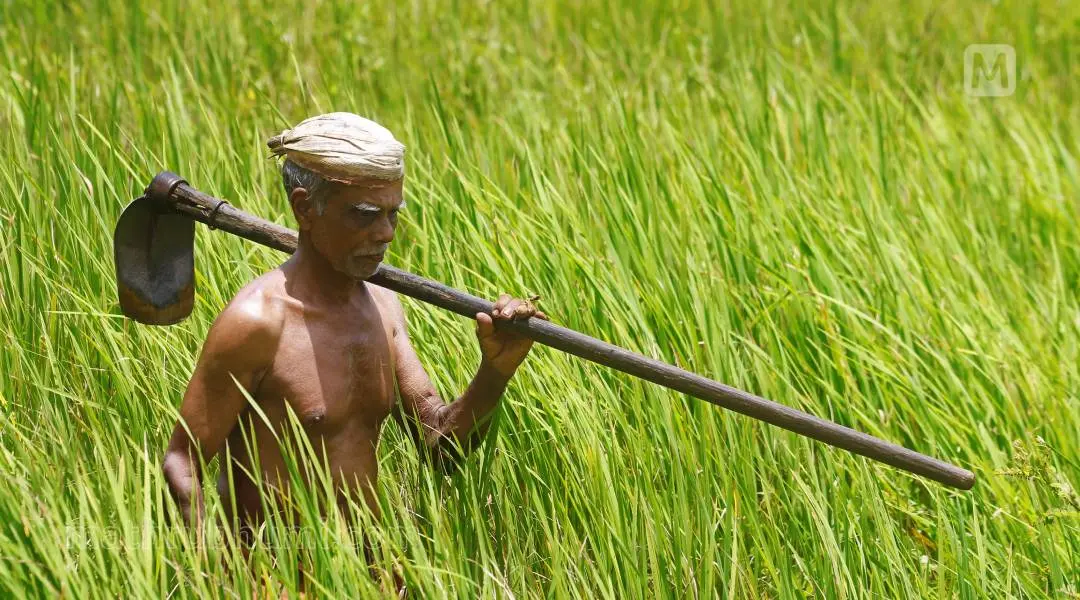 പ്രതീകാത്മ ചിത്രം; സന്തോഷ് കെ കെ