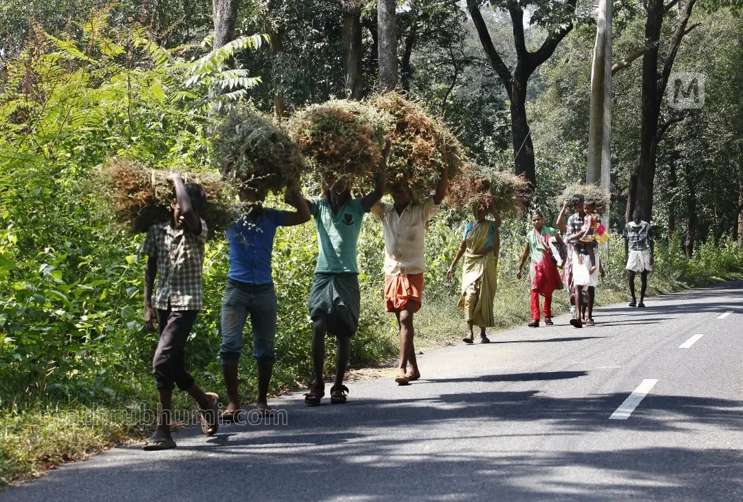 Photo: mathrubhumi archives