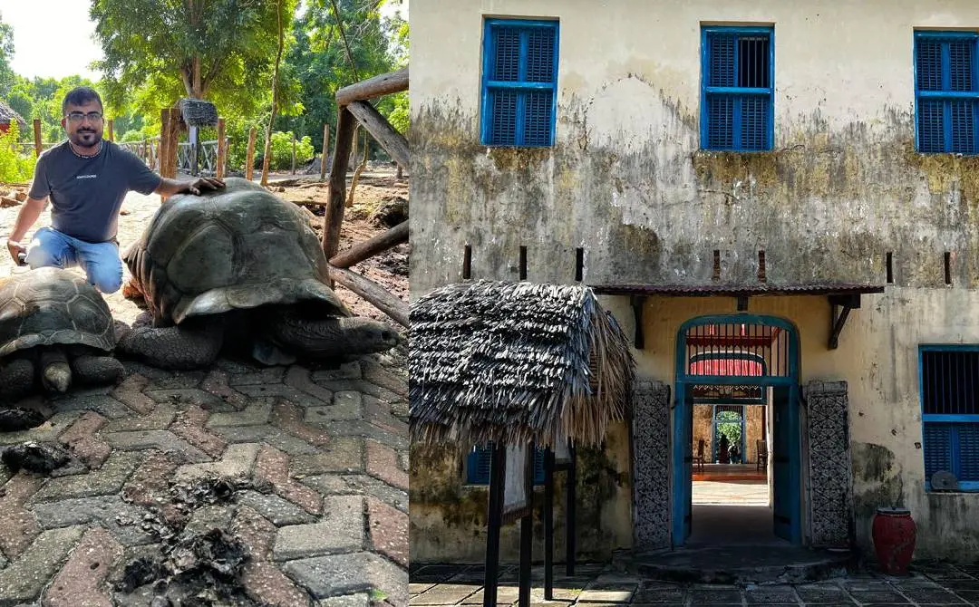 ആമകളും പ്രിസണ് ബില്ഡിങ്ങും