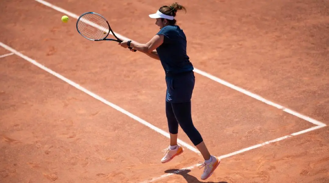 Photo: twitter.com/MirzaSania