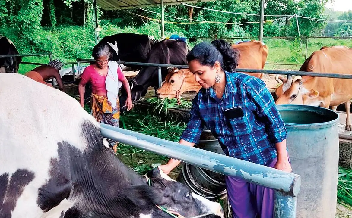 സ്‌മിത തടുക്കശ്ശേരിയിലെ ഫാമിൽ