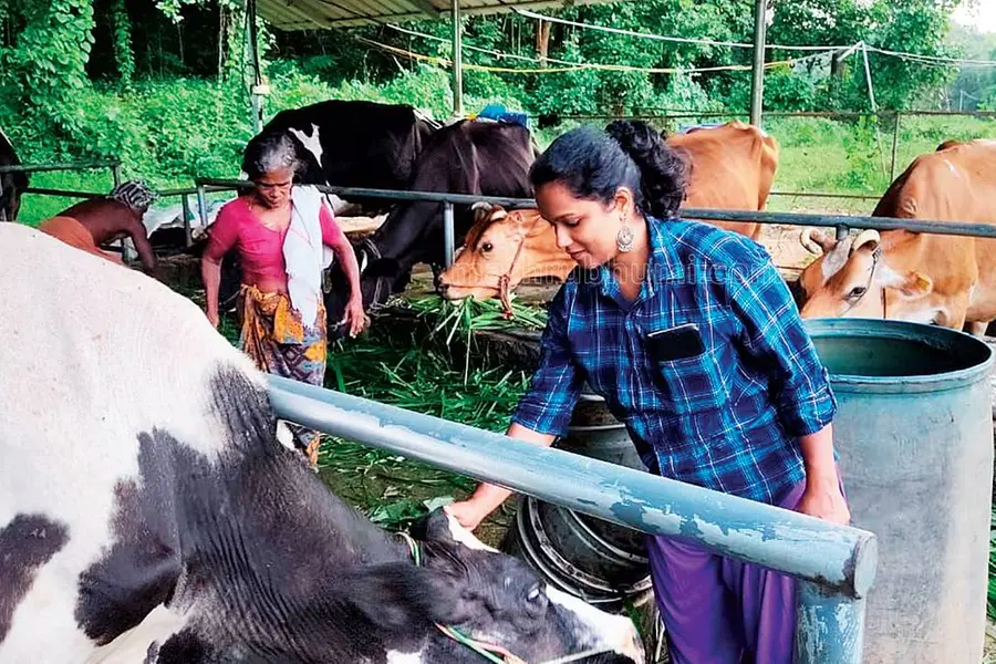 ഇന്ന് ലോക ക്ഷീരദിനം; സ്മിത പശുക്കളെ വളർത്തുന്നു, വക്കീലാകാൻ