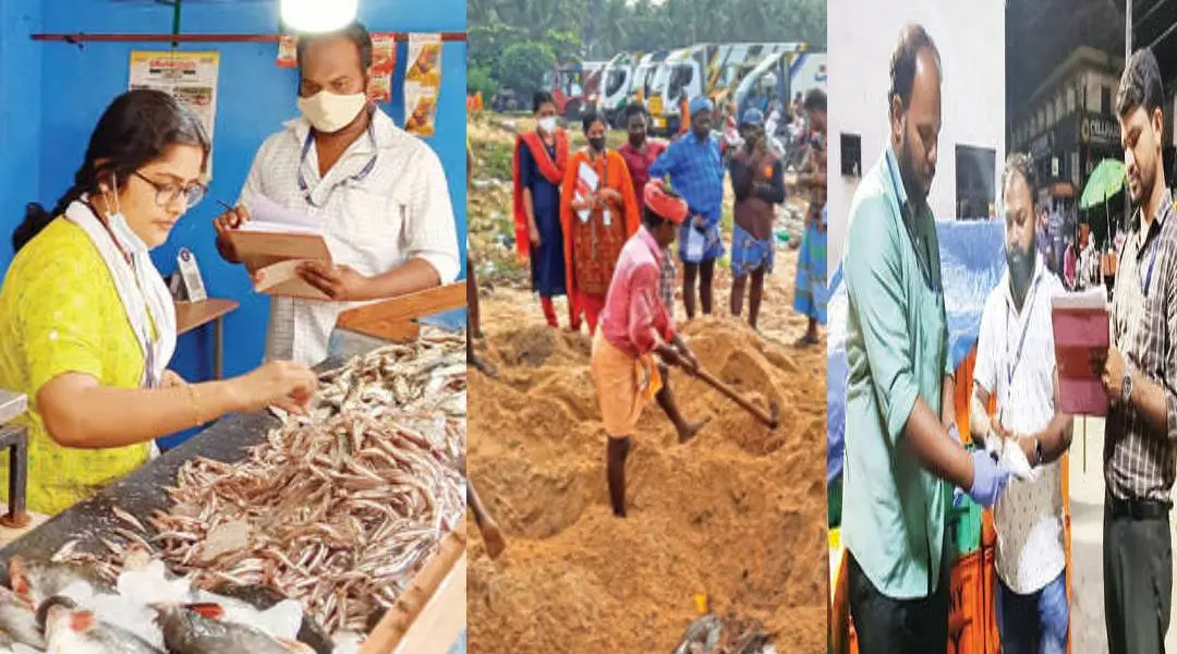 1. ഇടുക്കിയിലെ മത്സ്യവില്‍പ്പനശാലകളില്‍ നടത്തിയ പരിശോധന 2. പള്ളം ചന്തയില്‍നിന്ന് പിടികൂടിയ പഴകിയ മീന്‍ കുഴിച്ചുമൂടുന്നു. 3. തിരൂരിലെ മീന്‍ ചന്തയില്‍ ഉദ്യോഗസ്ഥര്‍ പരിശോധന നടത്തുന്ന ദൃശ്യം.