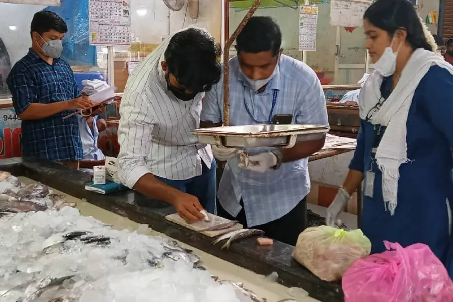 ഇടുക്കിയിലെ മത്സ്യവില്പ്പന ശാലകളില് ശനിയാഴ്ചയും പരിശോധന; നശിപ്പിച്ചത് 107 കിലോ മത്സ്യം