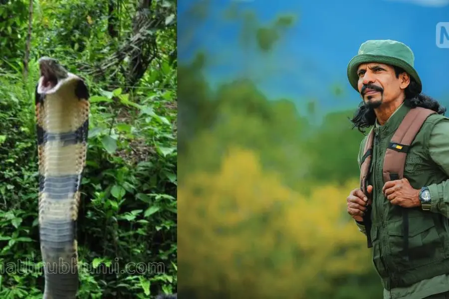 ഉരുക്കുമുഷ്ടിയില്‍ വായപിളര്‍ന്ന്, കണ്ണുകള്‍ തള്ളി ശ്വാസത്തിനായി പിടയുന്ന രാജവെമ്പാല മനസ്സിലുണ്ട്‌