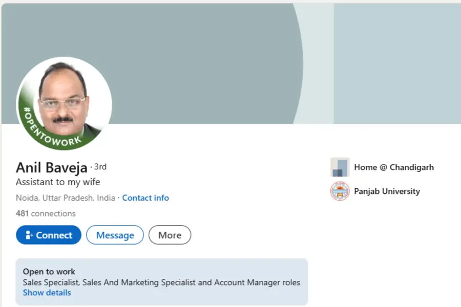 From Honda to 'Assistant to my wife': This man's LinkedIn title is going viral on social media