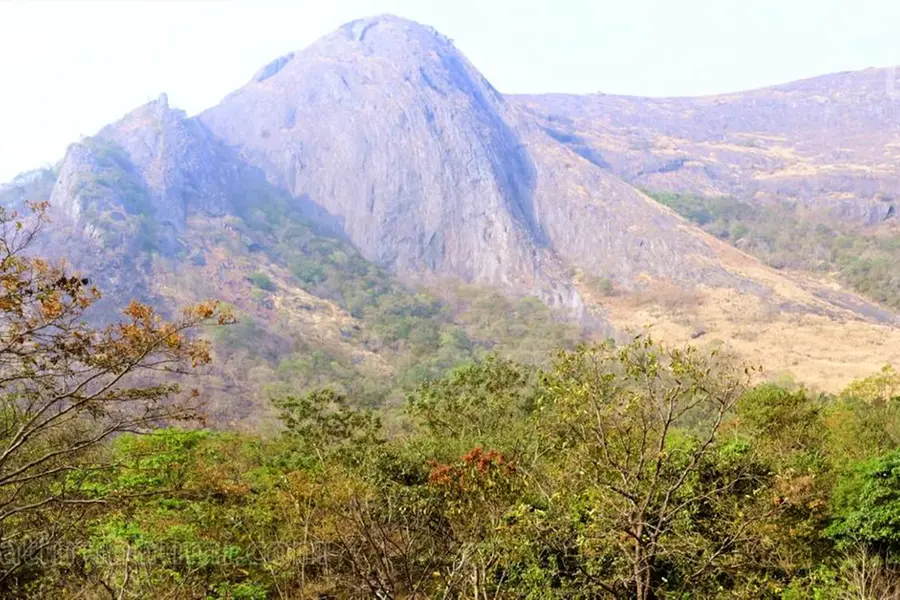 പുലിയും കരടിയുമുള്ള ജൈവവൈവിധ്യത്തിന്റെ കൂര്മ്പാച്ചി മല, അനുമതി നിഷേധിക്കാനുള്ള കാരണങ്ങൾ