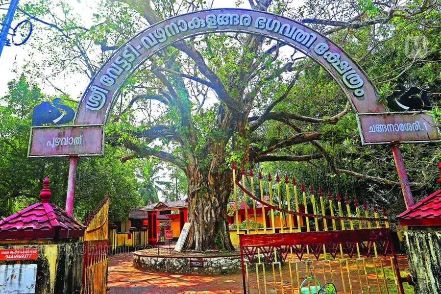 'എട്ടുവീട്ടിൽ പിള്ളമാരുടെ എട്ടാത്മാക്കള്‍ വീണ്ടും പുറത്തുചാടുമോ എന്ന് ഞാൻ ഒരു നിമിഷം പരിഭ്രമിച്ചു'
