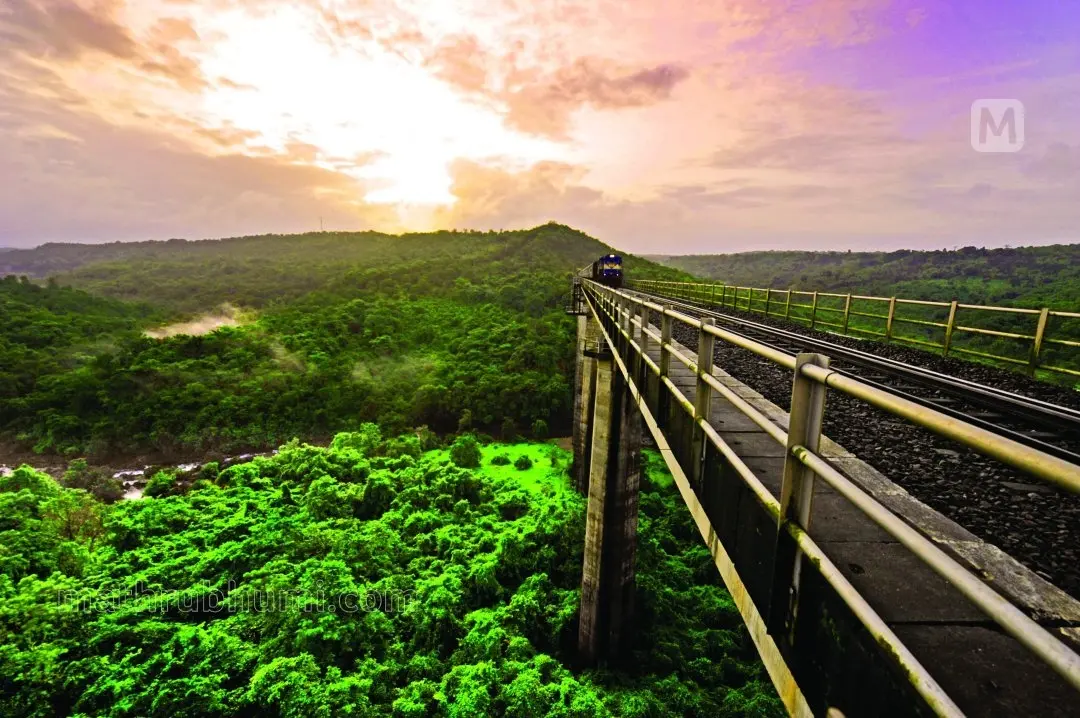 പൻവാൽ പാലം | ഫോട്ടോ: മധുരാജ് മാതൃഭൂമി