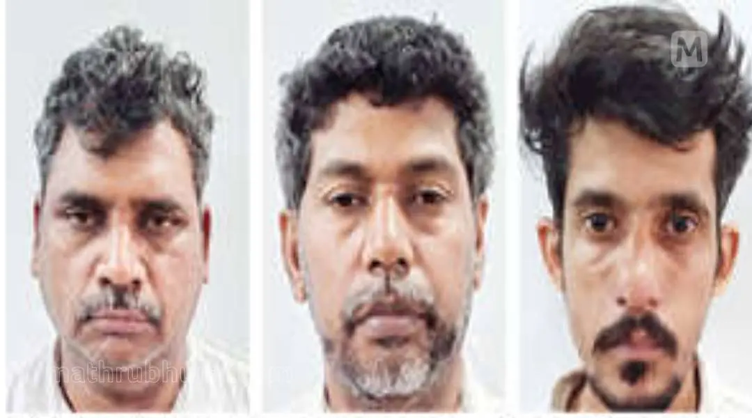 അറസ്റ്റിലായ തിരുത്തിയാംപുറത്ത് ഉമ്മര്, പാറമ്മല് ഉസാമ, ചോലക്കാടന് ഉമ്മര്