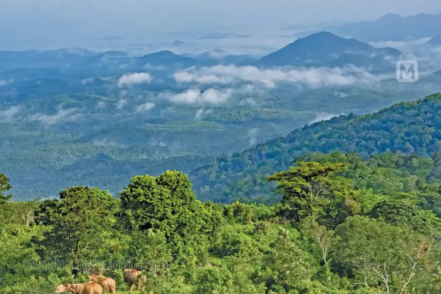 നോക്കെത്താദൂരം പ്രകൃതി വരച്ച കാണാക്കാഴ്ചകൾ, കൂട്ടിന് മഞ്ഞും മഴയും; ഇതുതന്നെയല്ലേ സ്വർഗം?