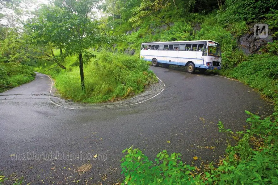 17 ബസ്, 650 വനിതകൾ; ‘വുമൺ ട്രാവൽ വീക്ക്’ ട്രിപ്പുകളിൽ ഒന്നാമതെത്തി താമരശ്ശേരി ഡിപ്പോ