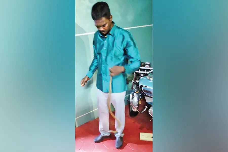 വീണ്ടും പാമ്പുപിടിത്തവുമായി വാവ സുരേഷ്; തടിച്ചു കൂടി ആരാധകർ, സ്വീകരണം നൽകി നാട്ടുകാർ