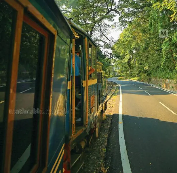 ടീ ട്രെയിനിൽ | ഫോട്ടോ: പി. ജയേഷ്\ മാതൃഭൂമി