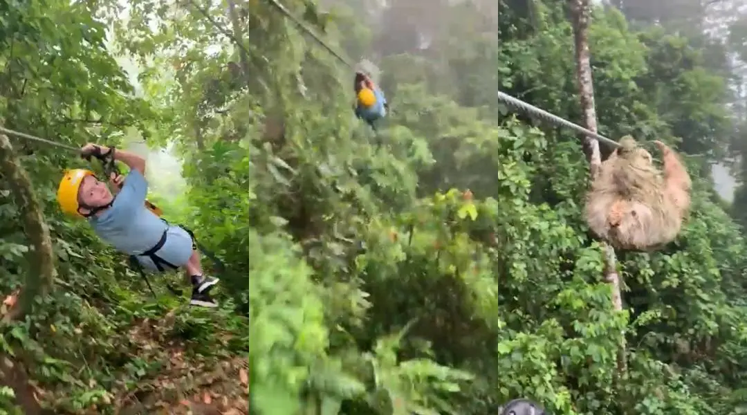 വീഡിയോയിൽ നിന്ന്