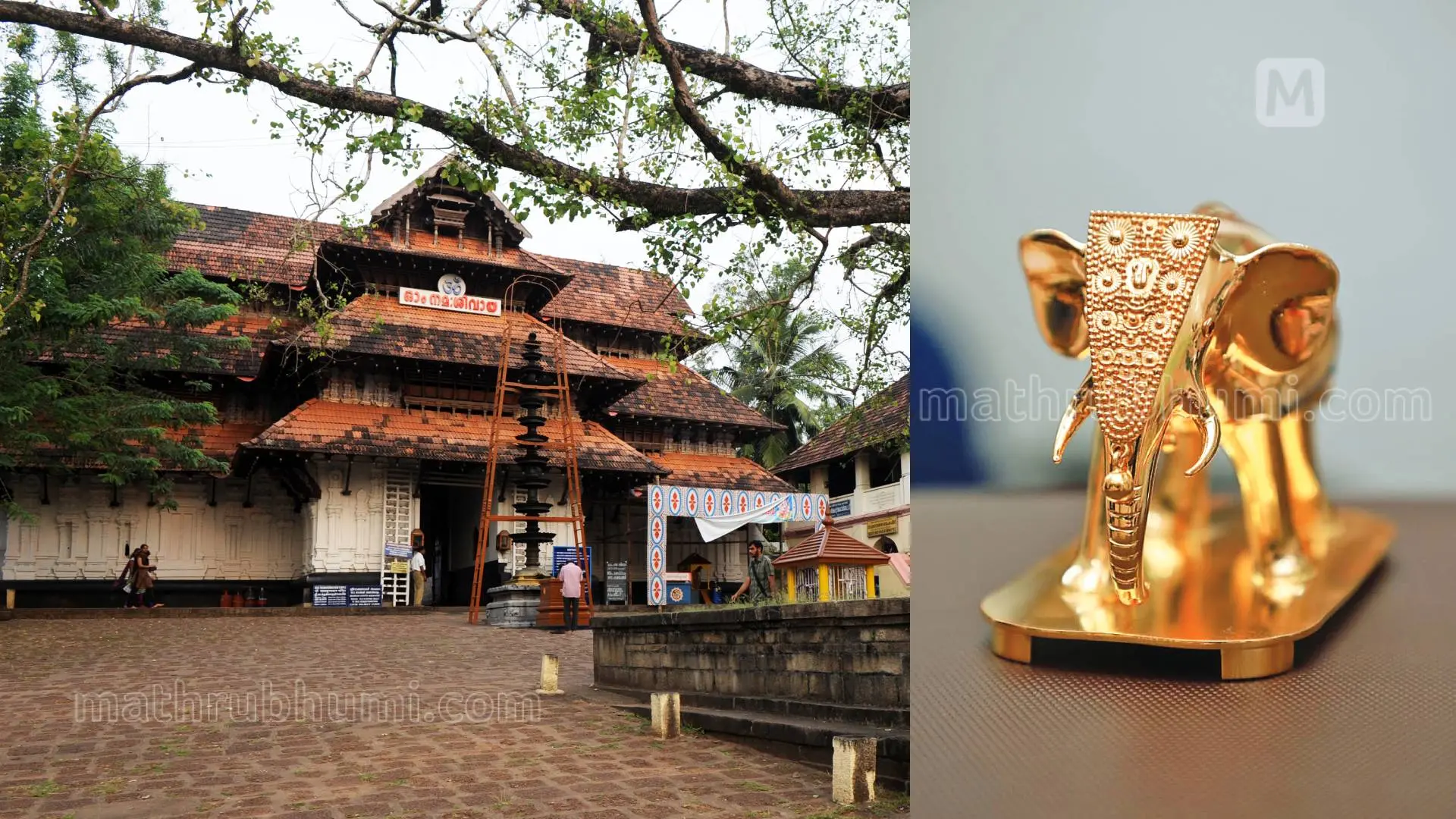 വടക്കുന്നാഥക്ഷേത്രം/ ക്ഷേത്രത്തിലേക്ക് സമര്പ്പിച്ച സ്വര്ണ ആന