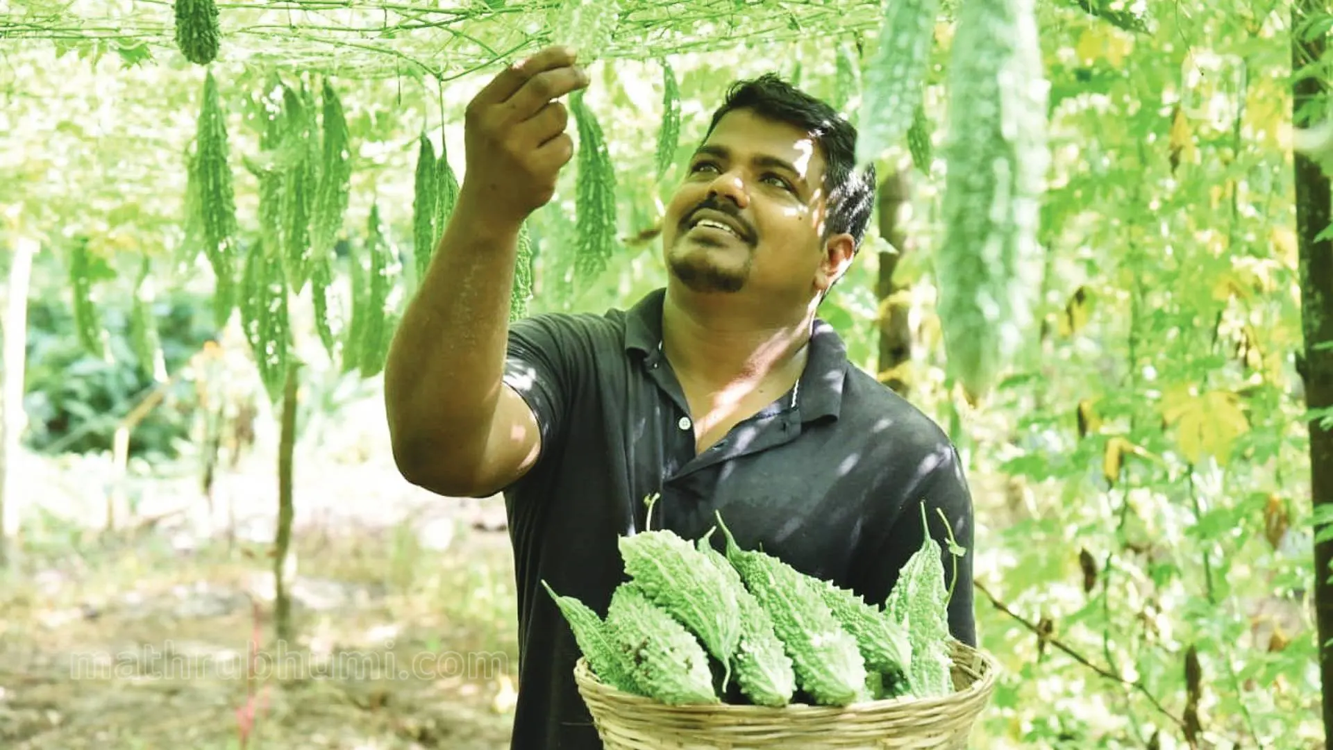 സുജിത്ത് കൃഷിത്തോട്ടത്തില്