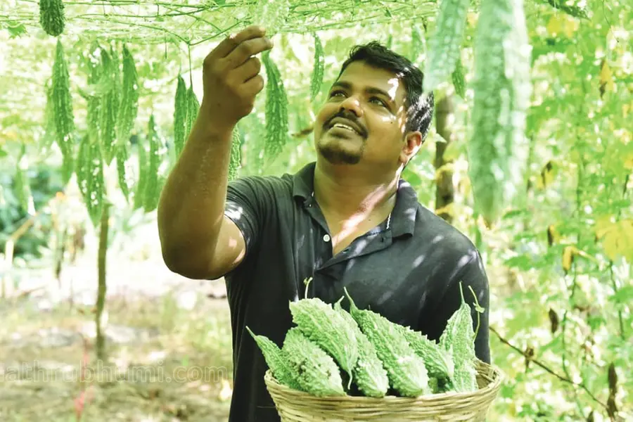 ചൊരിമണലില് സൂര്യകാന്തി വിപ്ലവമൊരുക്കിയ സുജിത്തിനെ തേടി വീണ്ടും കര്ഷകപുരസ്കാരം