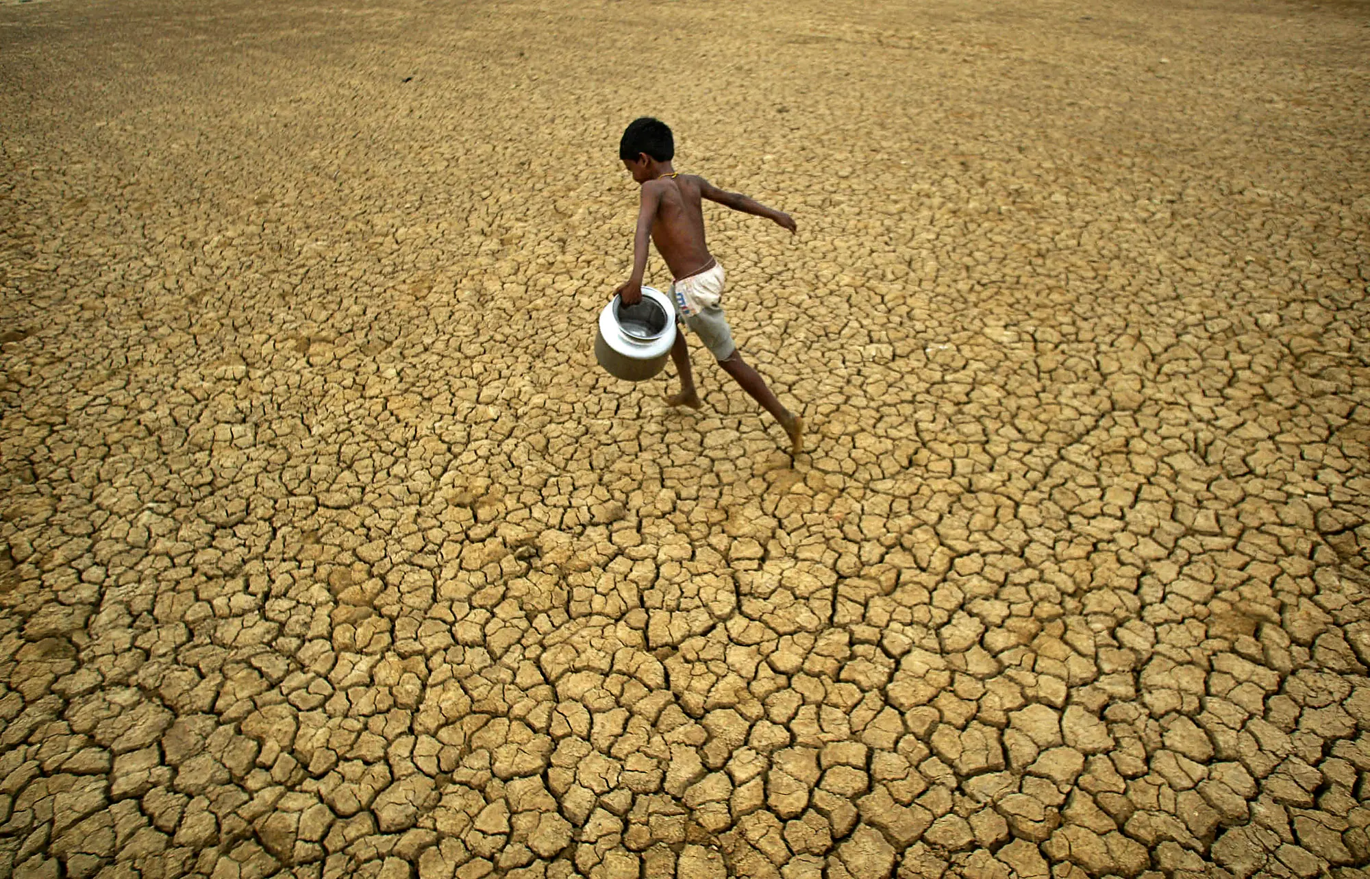 ഫോട്ടോ : AP