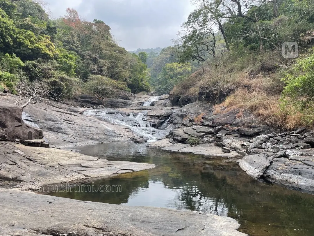 കോഴിപ്പാറ വെള്ളച്ചാട്ടം | ഫോട്ടോ: അഞ്ജയ് ദാസ്. എൻ.ടി
