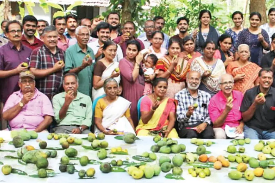 കോട്ടൂര്കോണം വരിക്ക, കറുത്ത പ്രിയൂര്, വെളുത്ത ചിങ്കിരി...നാട്ടുമാങ്ങാരുചി നുകർന്ന് മാങ്ങ മഹോത്സവം