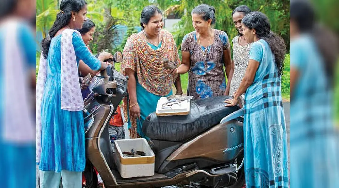 മീൻ വിൽക്കുന്നതിനിടെ ജാസ്മിൻ മെംബർ