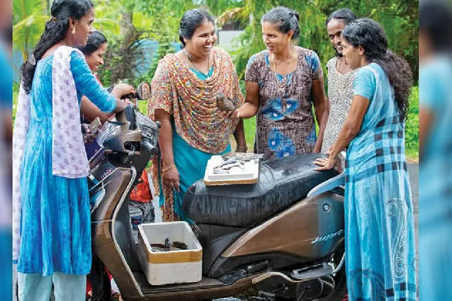 അധ്യാപിക, സഹായി,മീൻ വില്പനക്കാരി; ഈ വാർഡിന്‌ ജാസ്മിൻ മെംബർ മാത്രമല്ല...