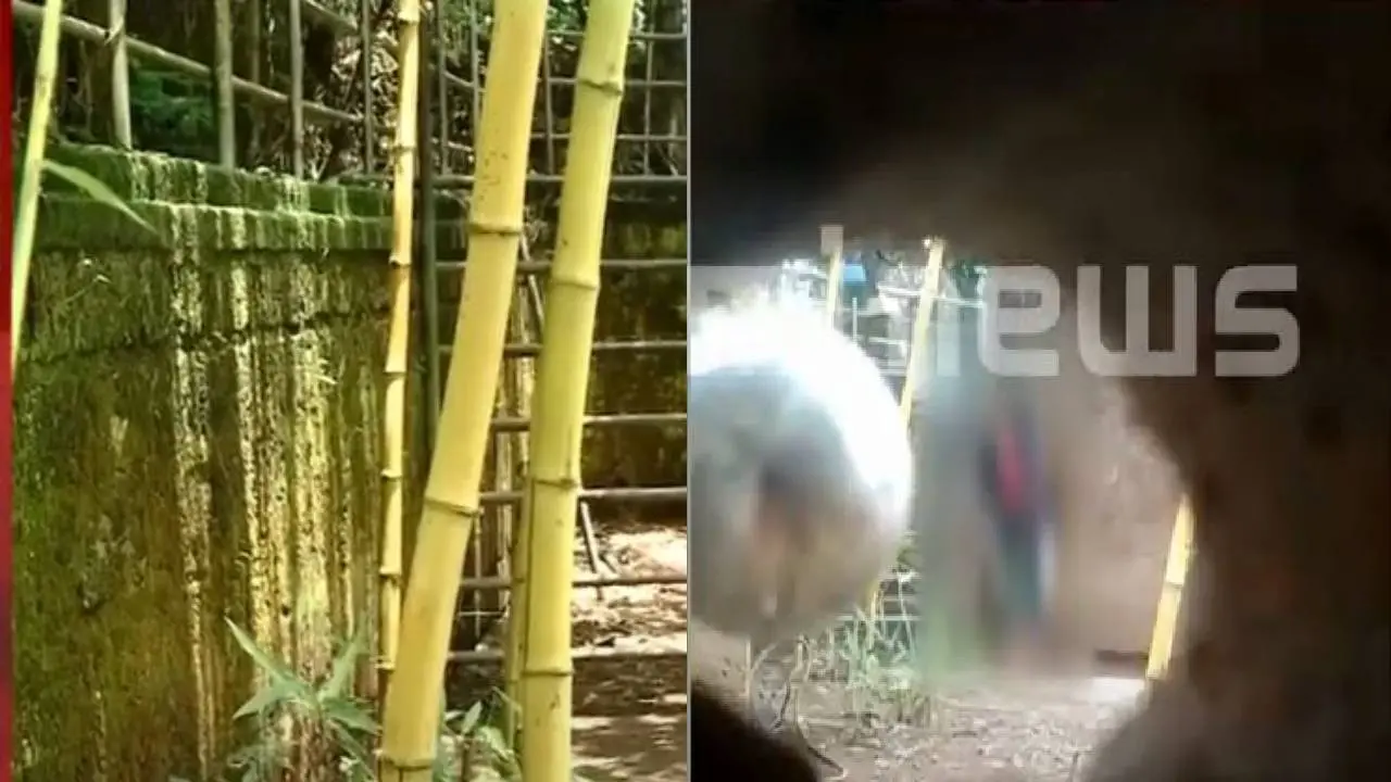 പാര്ക്കില് ചിത്രീകരിച്ച സ്വകാര്യ ദൃശ്യങ്ങളില് നിന്ന് | Screengrab: മാതൃഭൂമി ന്യൂസ്