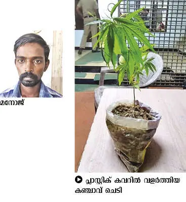 Caption